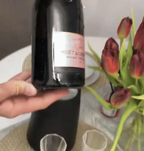 Frapiera de Vin Termo +(2 picuratoare cadou) – LUXUL RACORIRII PERFECTE